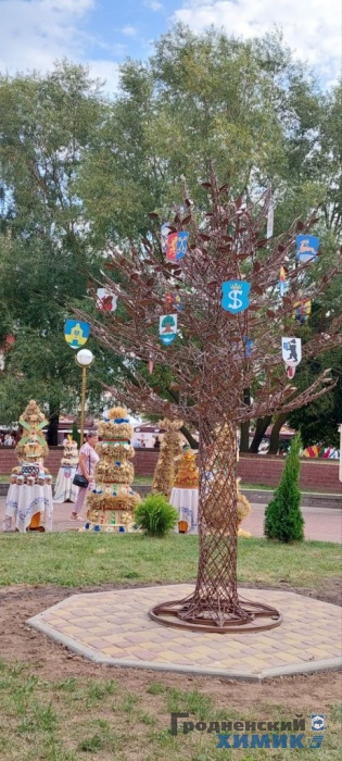 Областные «Дожинки» 2023 года прошли в Зельве